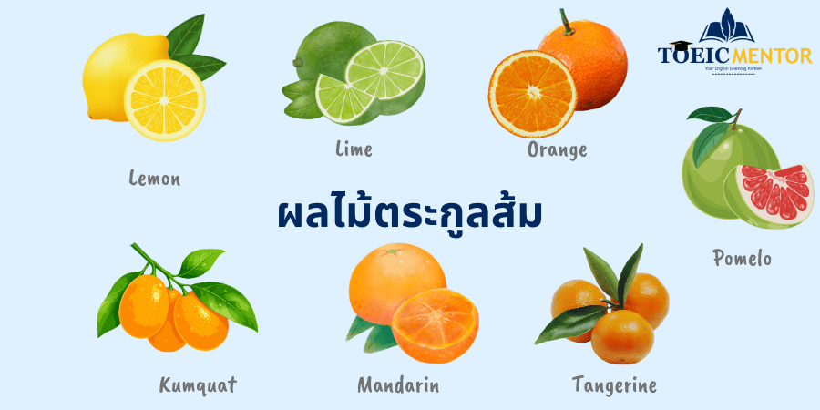 ผลไม้ตระกูลส้ม