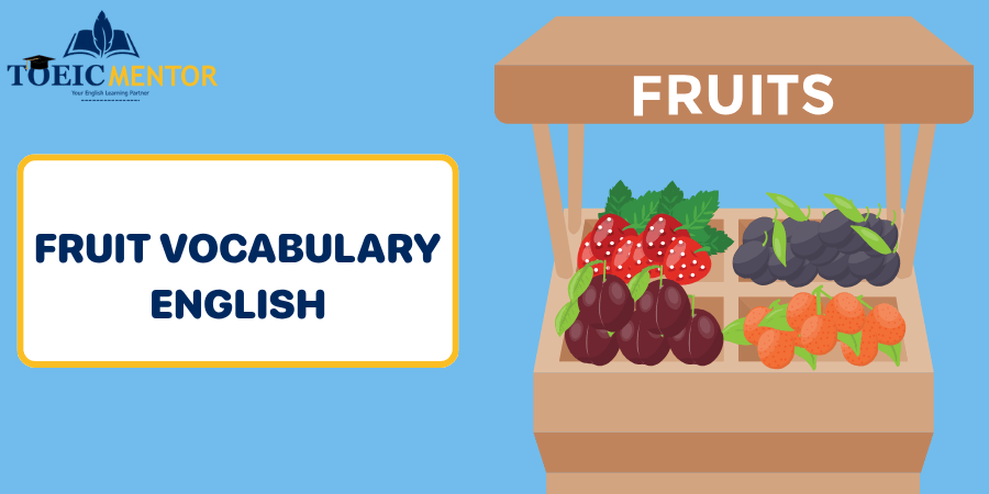 fruit-vocabulary-english