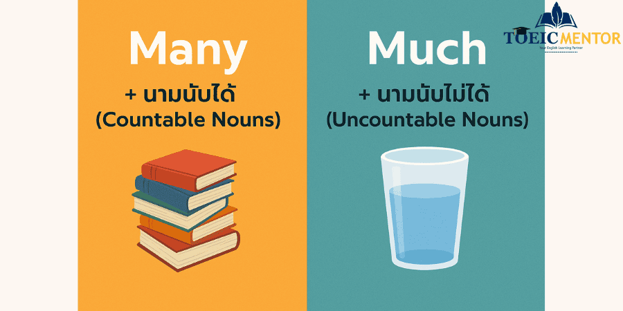 กฎข้อเดียวที่ต้องจำเพื่อแยก Much และ Many