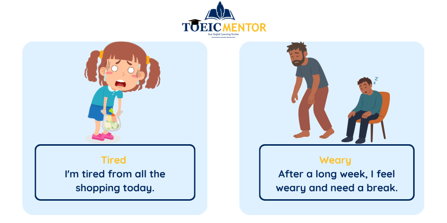 ระดับกลาง: เหนื่อยพอสมควร (Moderately Tired)