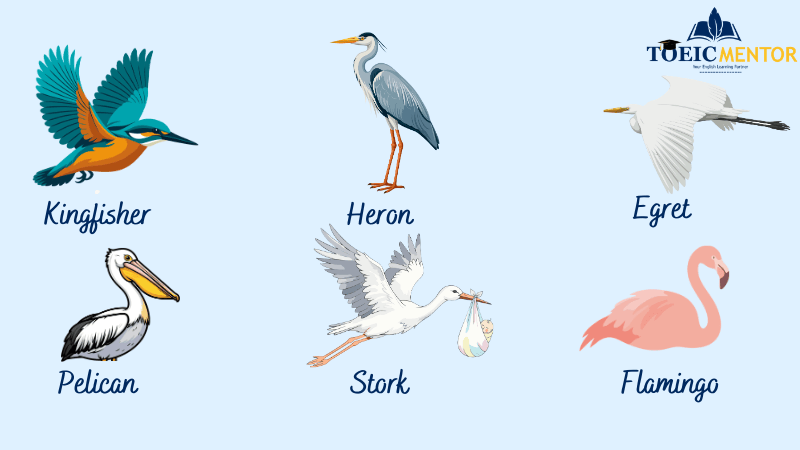 นกน้ำและนกชายเลนที่พบบ่อยในไทย