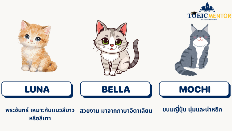 ชื่อแมวเพศเมีย (Female Names)