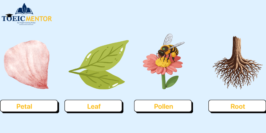ตารางคำศัพท์ส่วนประกอบของดอกไม้