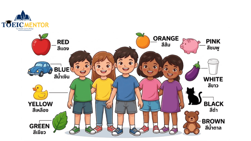 หมวด Colors, Numbers & Objects