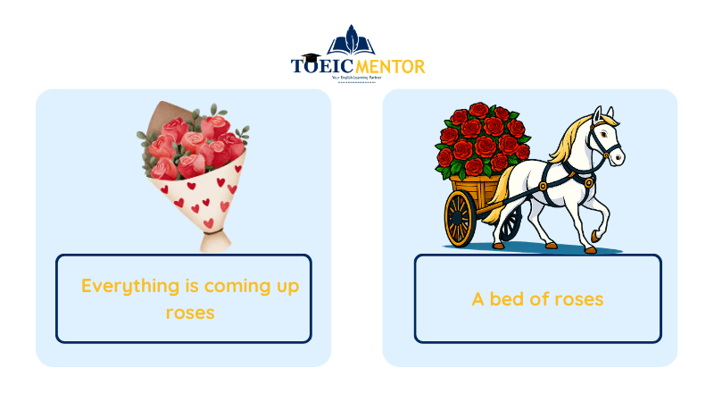 เจาะลึกกลุ่มสำนวนดอกไม้ยอดฮิต แบ่งตามสัญลักษณ์